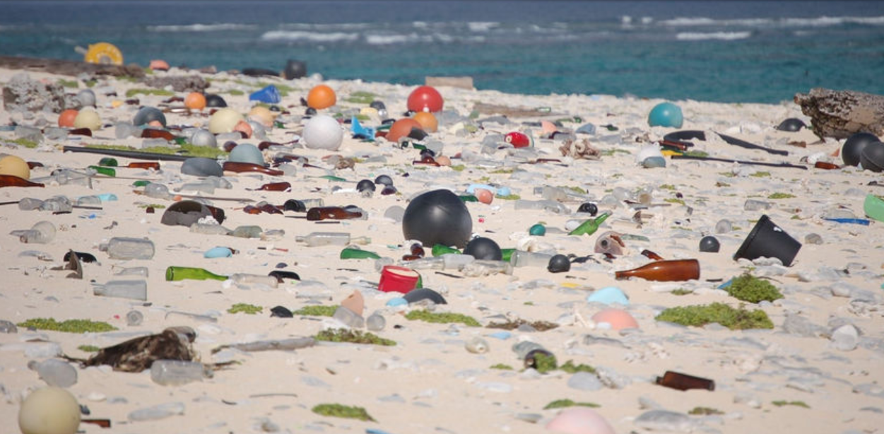 Экологи назвали самый грязный остров на Земле