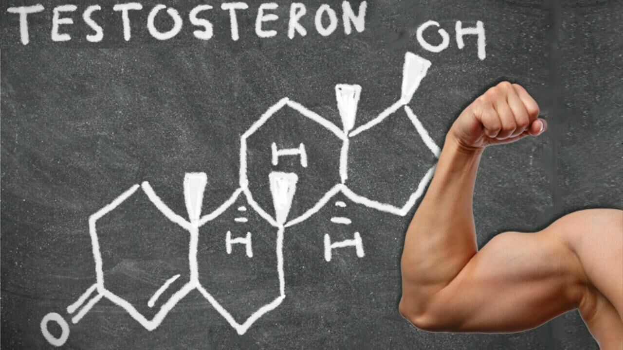 Тестостерон убеждает мужчин в собственной правоте , мешая им размышлять