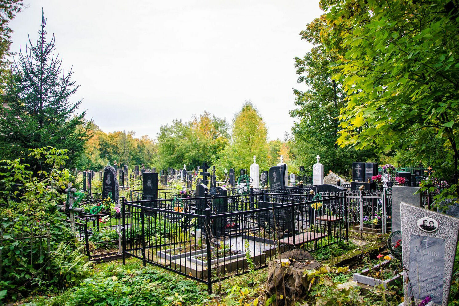 Жительнице Волжского на день рождения подарили участок на кладбище