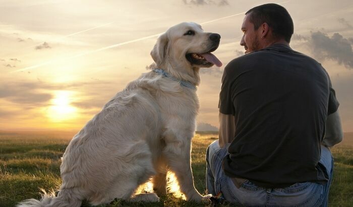 Биологи доказали способность собак понимать человеческую речь