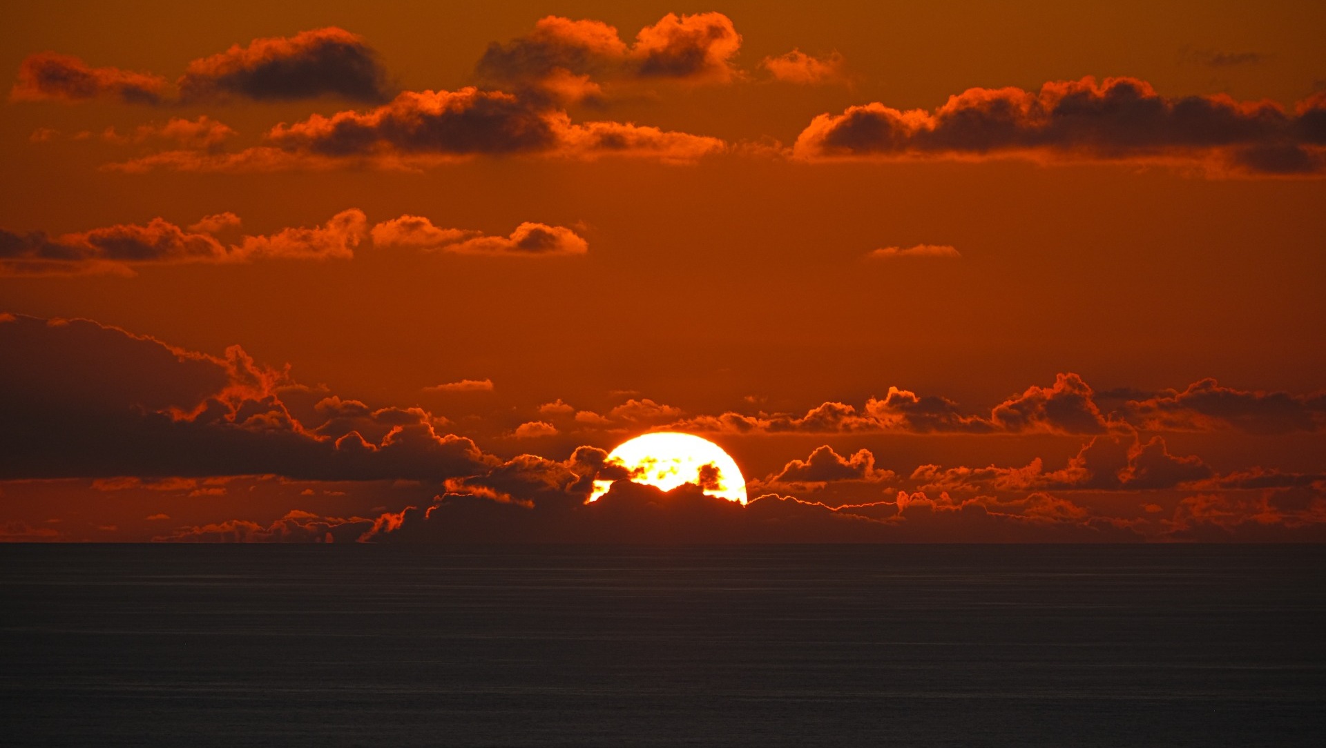 Эксперты прогнозируют рост активности Солнца осенью