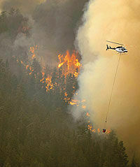 Лесные пожары дошли до Монтаны
