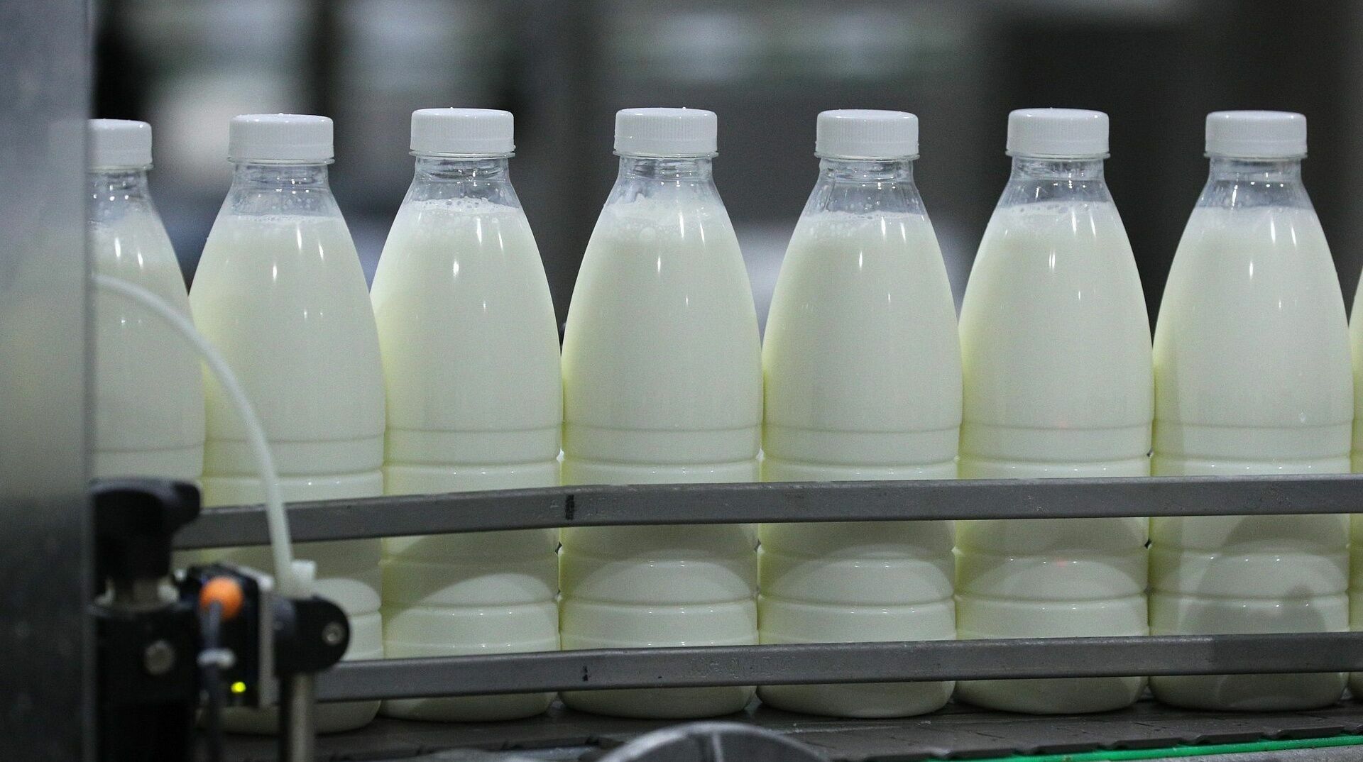 Производители молока предупредили о повышении цен осенью