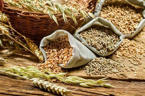 Эксперты не считают, что хороший урожай зерна отразится на ценах на продукты