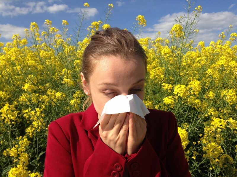 Иммунолог-аллерголог назвал подходящие для аллергиков регионы России