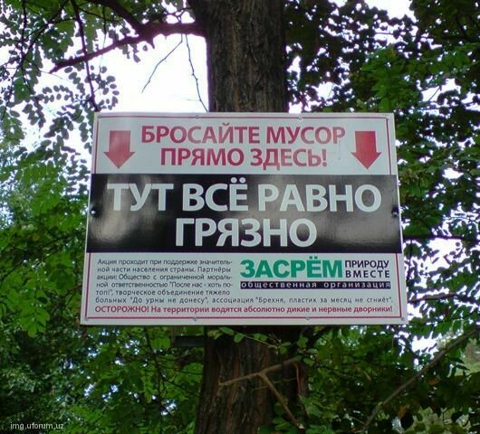 Крик отчаяния в русском лесу