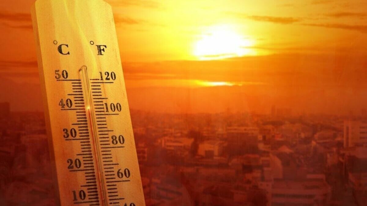 Почему 2023 и 2024 годы побьют мировые рекорды по жаре