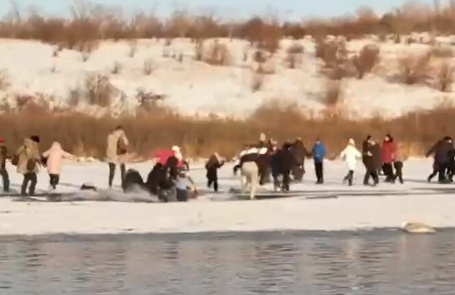 Десятки зевак провалились под лед, засмотревшись на лебедей в Алтайском крае (ВИДЕО)
