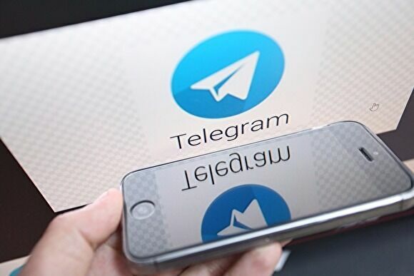 Журналисты Кашин и Плющев оспорят в суде требования ФСБ к Telegram