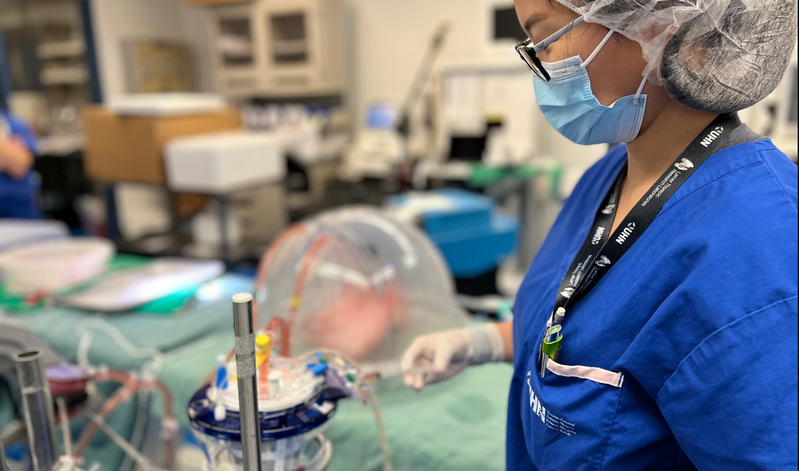 Ученые создали прототип универсального органа для трансплантации