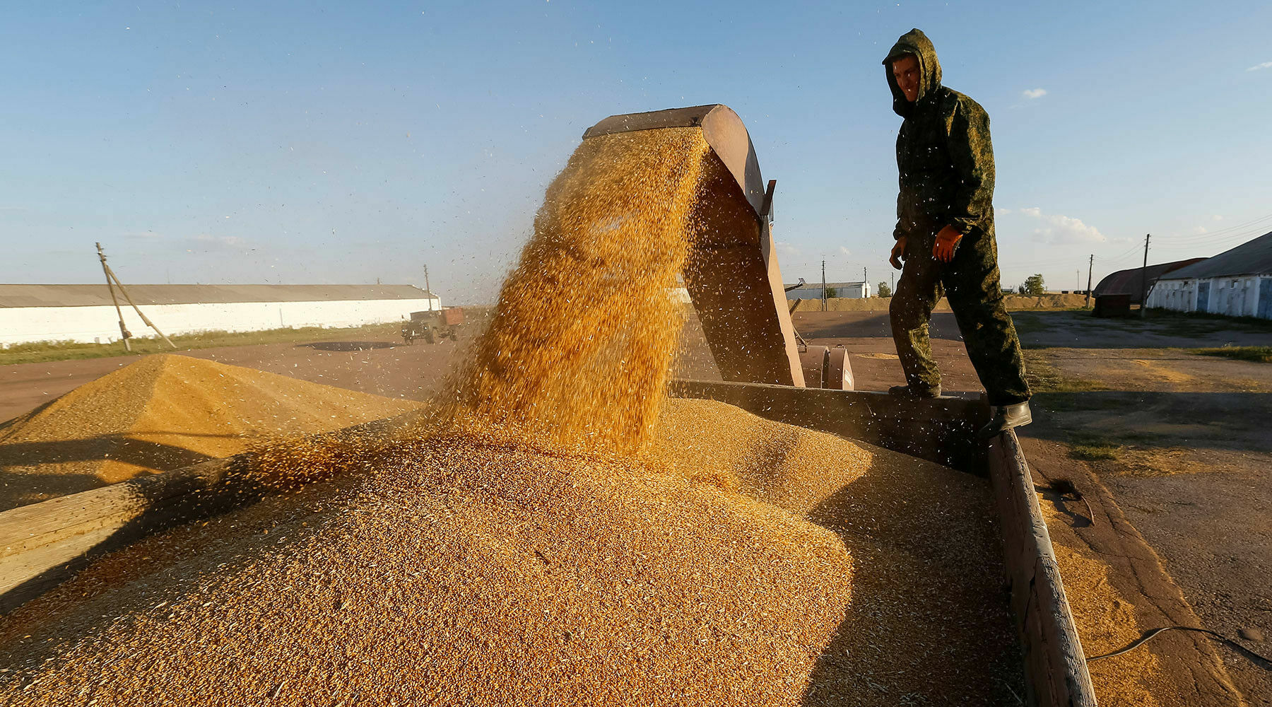 Производители продуктов просят ввести пошлину на экспорт зерна