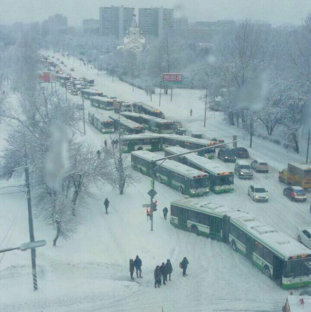 ФотКа дня: Автобусный коллапс случился на улицах Москвы