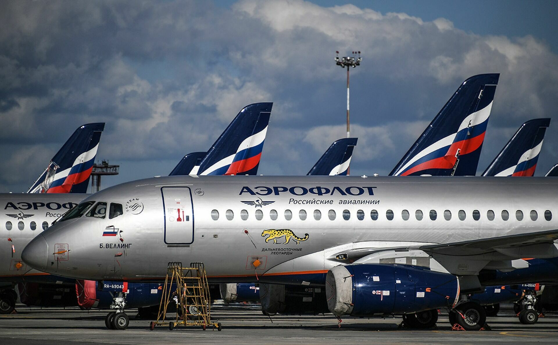 Акционерам «Аэрофлота» предложили выделить 52 млн рублей на бонусы совету директоров