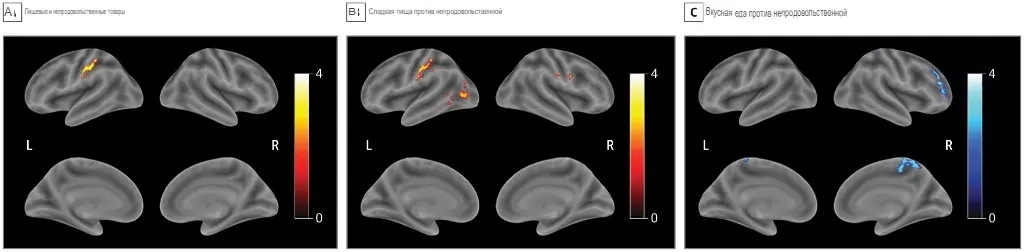 Сравнение всего мозга между группами с высоким и низким уровнем изоляции.