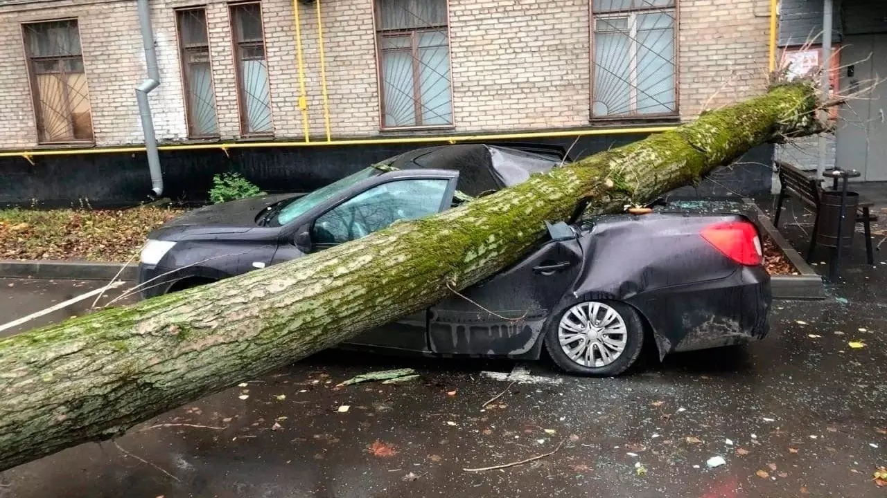 Москву накрыл ураган: разрушения, снесенные деревья, есть погибший