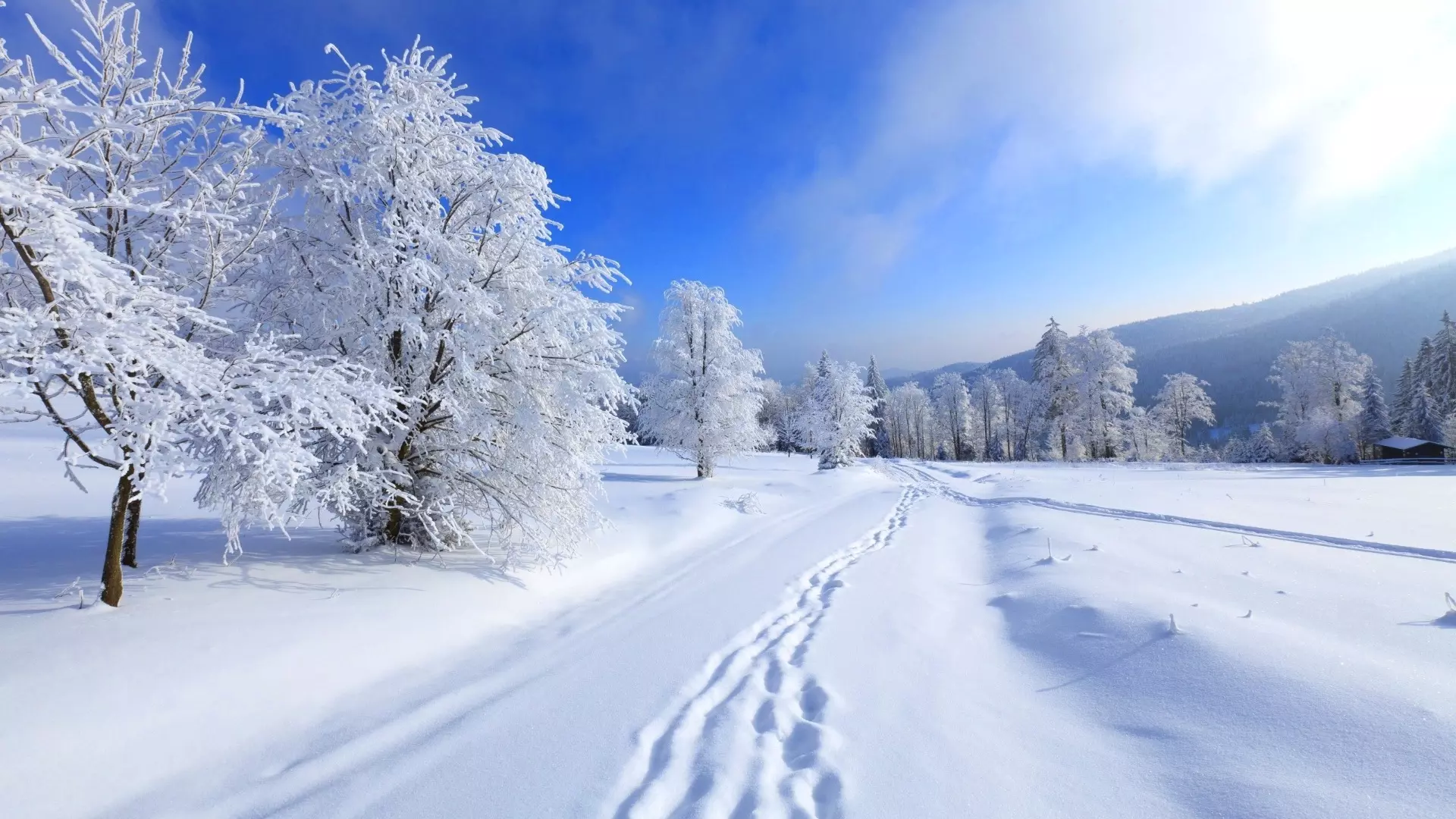 Все начнется с сильных холодов: какой будет в России нынешняя зима