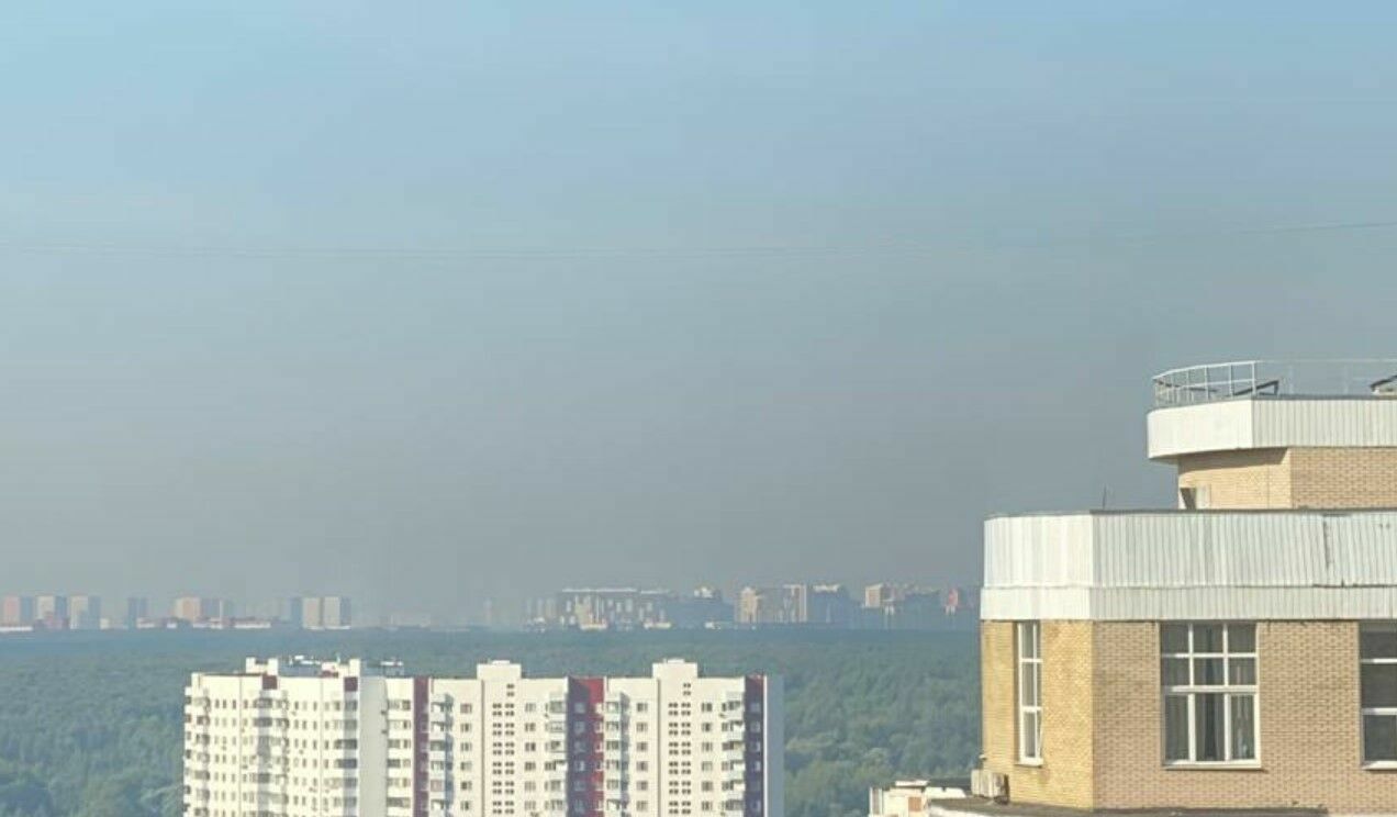 Москвичи жалуются на запах гари в некоторых районах на западе и юго-западе столицы