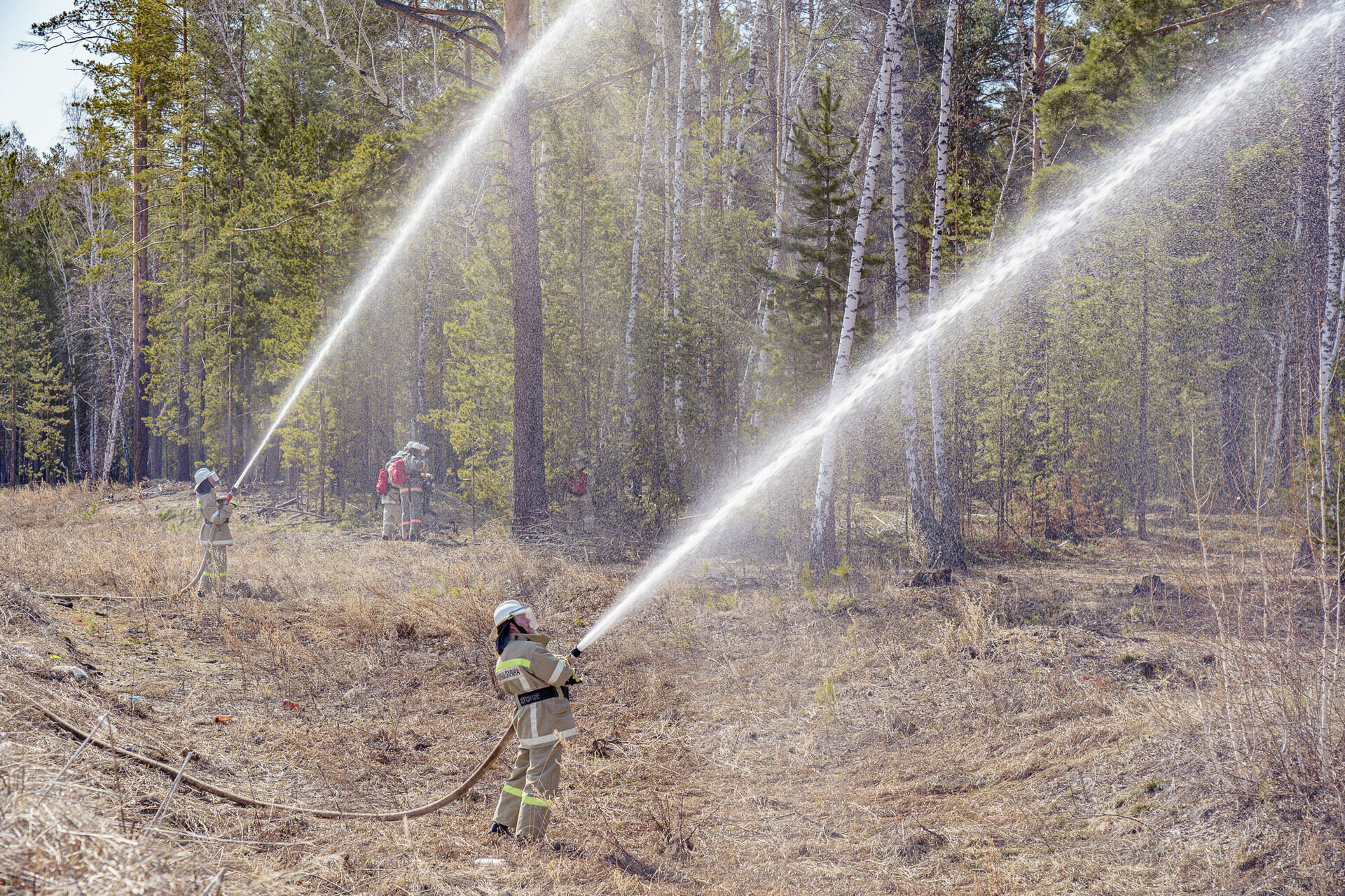 В Сибири горит тайга: на борьбу с огнем МЧС бросило 43 тысячи спасателей