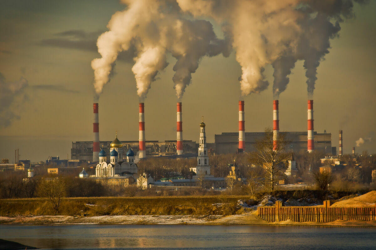 Ученые предложили измерять загрязнение воздуха в Москве с помощью лишайника