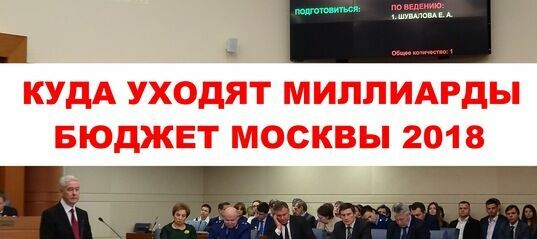 Заткнули рот регламентом: депутату Мосгурдумы не дали разкритиковать бюджет