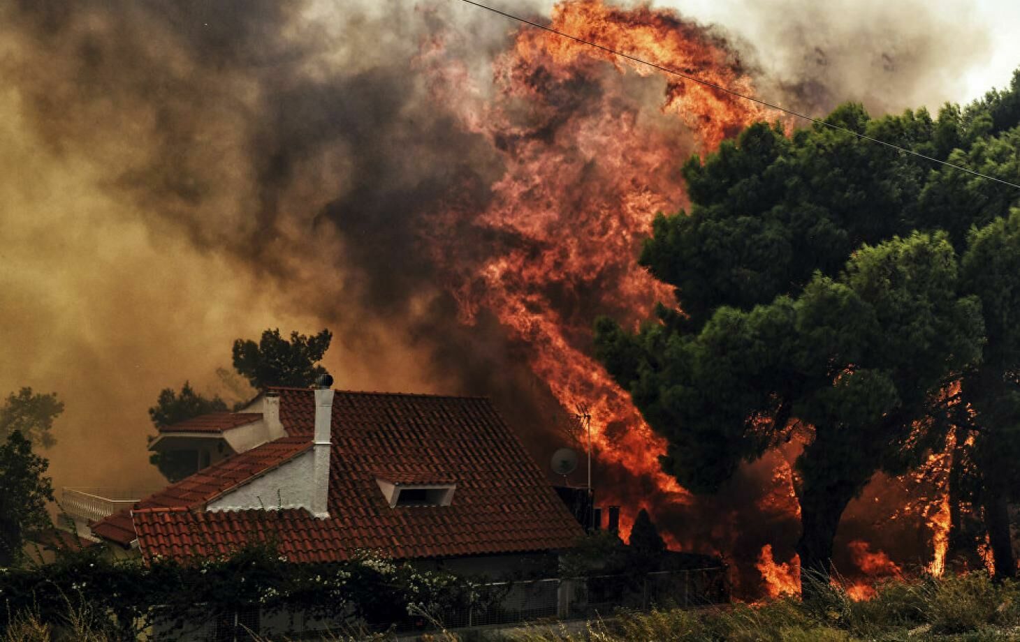 «Любил устраивать пожары»: в Греции задержали поджигателя лесов