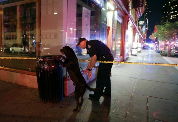 Рядом с местом взрыва в Нью-Йорке найдена скороварка с торчащими проводами