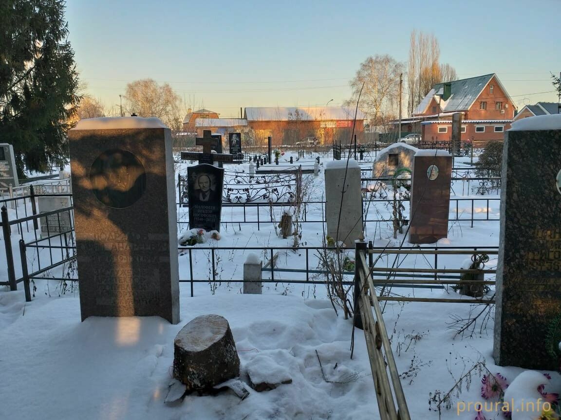 Новогоднюю елку в Стерлитамаке срубили на могиле местного кладбища