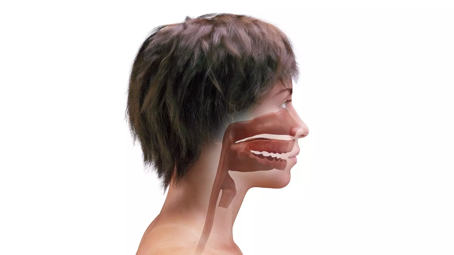 Иногда причиной появления неприятного запаха изо рта может стать заболевание десен