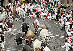 Испанцы целыми днями бегают от быков