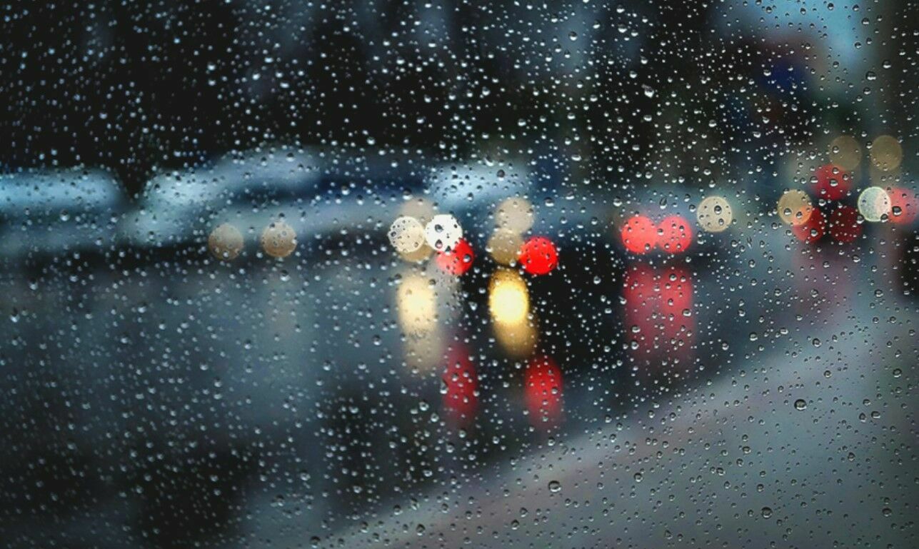 В Москве ожидается сильный дождь — к утру может выпасть до 40% месячной нормы осадков