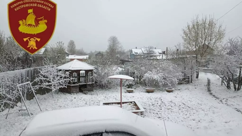 Некоторые регионы Центральной России накануне 9 мая завалило снегом.