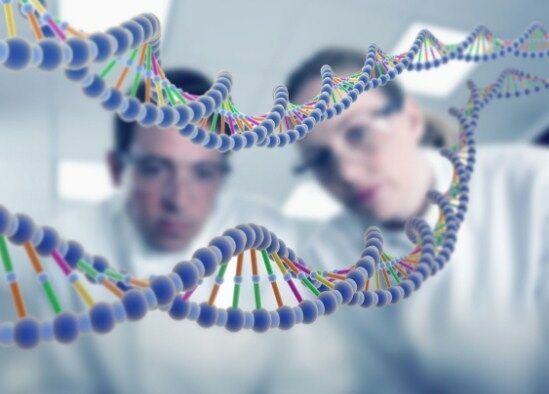 Рождение генно-модифицированного человека может стать реальностью