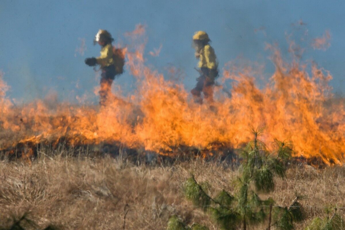 Под Иркутском тушат лесные пожары на территории свыше шестисот гектаров