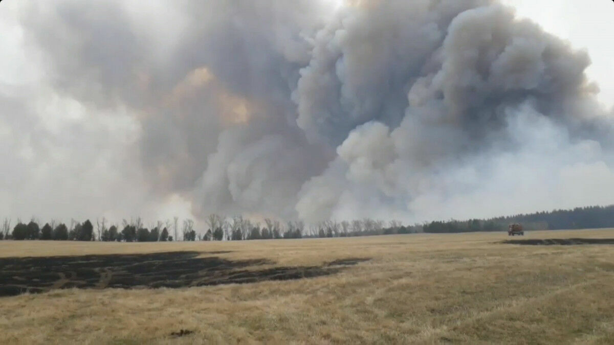 Дожди потушили природные пожары в Приморском крае