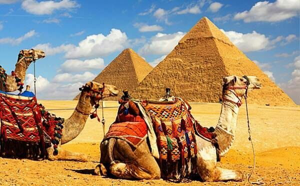 Египет готовится возобновить чартерные рейсы на курорты