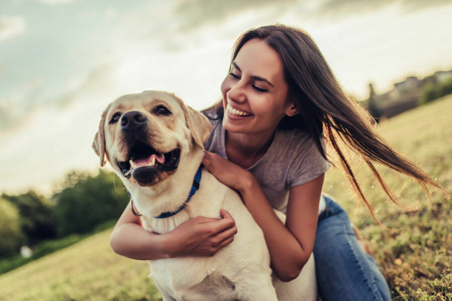 Учёные выяснили: за желание человека завести собаку отвечают гены