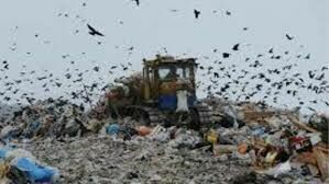 Граждане победили: решено закрыть мусорный полигон Малинки