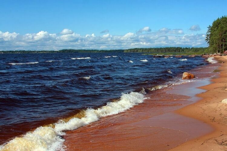 11 детей утонули на озере в Карелии, большинство погибших – москвичи