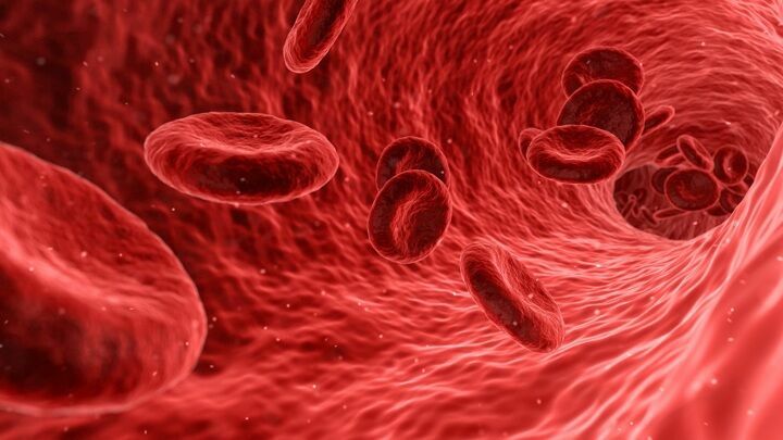 Ученые: COVID-19 деформирует клетки крови