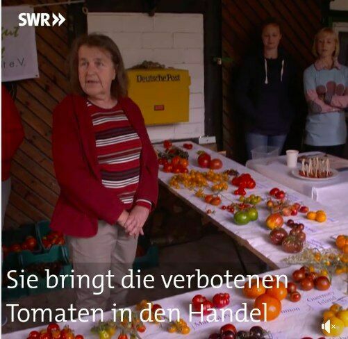 В Германии запретили торговать местными сортами помидоров