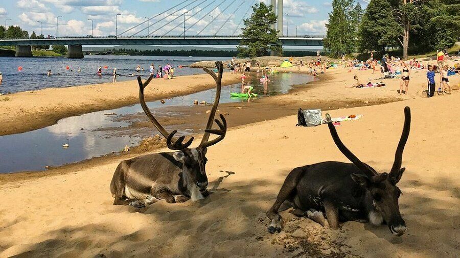 В Скандинавию и Финляндию пришла рекордная жара