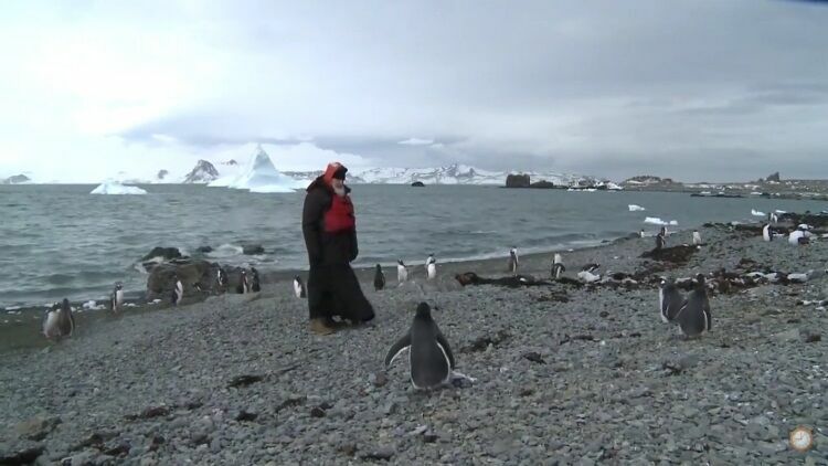 Патриарх Кирилл пообщался с пингвинами во время визита в Антарктиду (ВИДЕО)