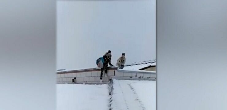 Воронежские школьницы спасли пса, месяц жившего на крыше (видео)