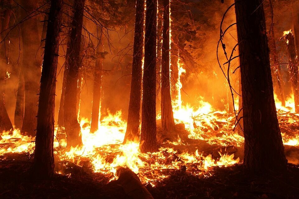 В Сибири начался сезон лесных пожаров