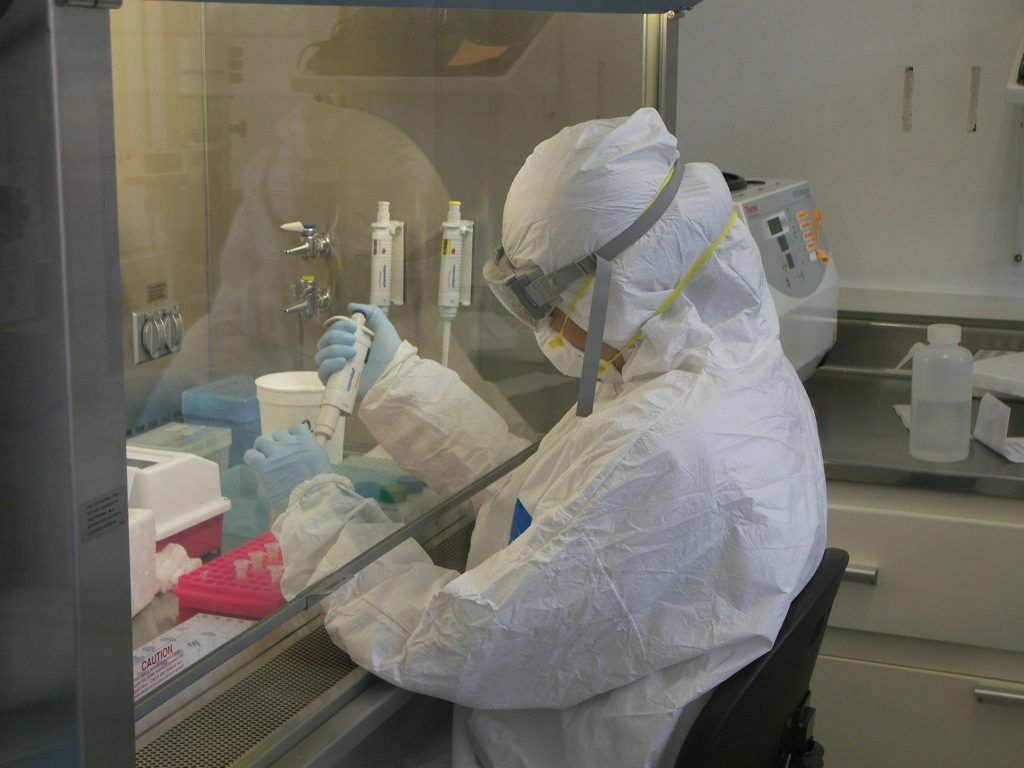 Российские ученые предложили использовать вместо антибиотиков арктические вирусы