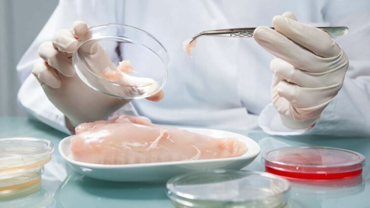 В Ростове в мясных продуктах «Евродон» нашли антибиотики