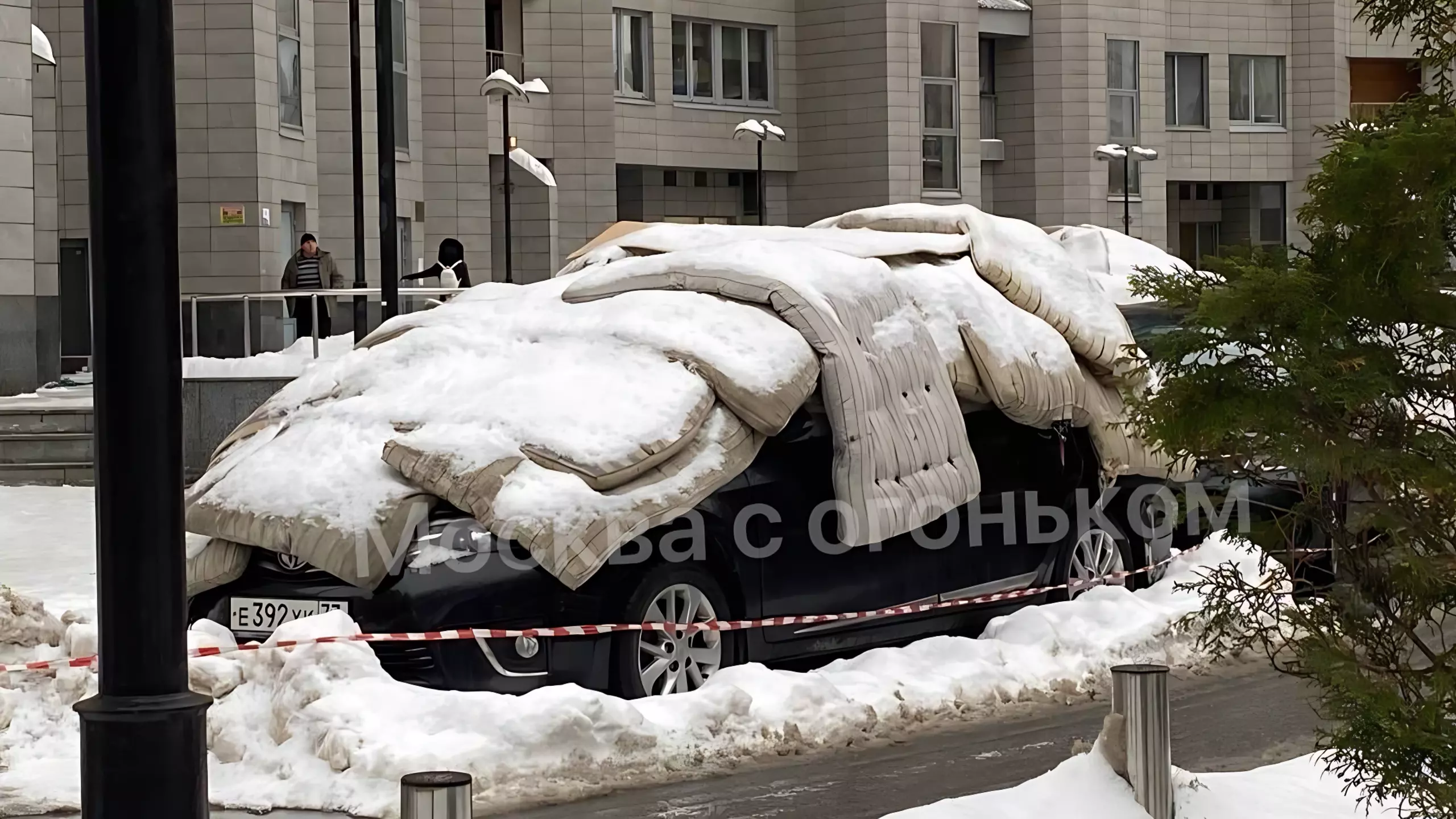 Фото дня: как спасти свой автомобиль от чистки снега