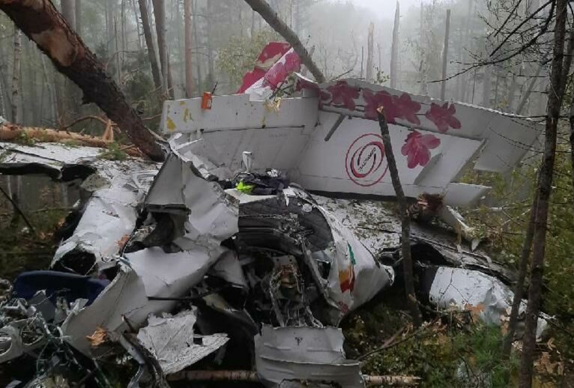 Крушение самолета 23 февраля. L410 самолет крушение под Иркутском. Катастрофа l-410 в Иркутской области. Авиакатастрофа лет л-410 в Лукле.