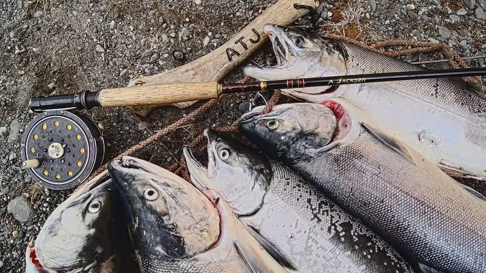 Правительство определило перечень запрещенных способов рыбной ловли