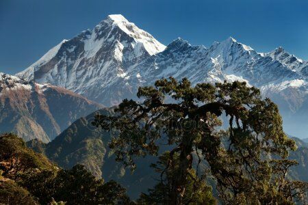 В Непале во время восхождения погибли 9 альпинистов